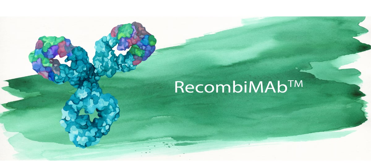 Introducing RecombiMAb
