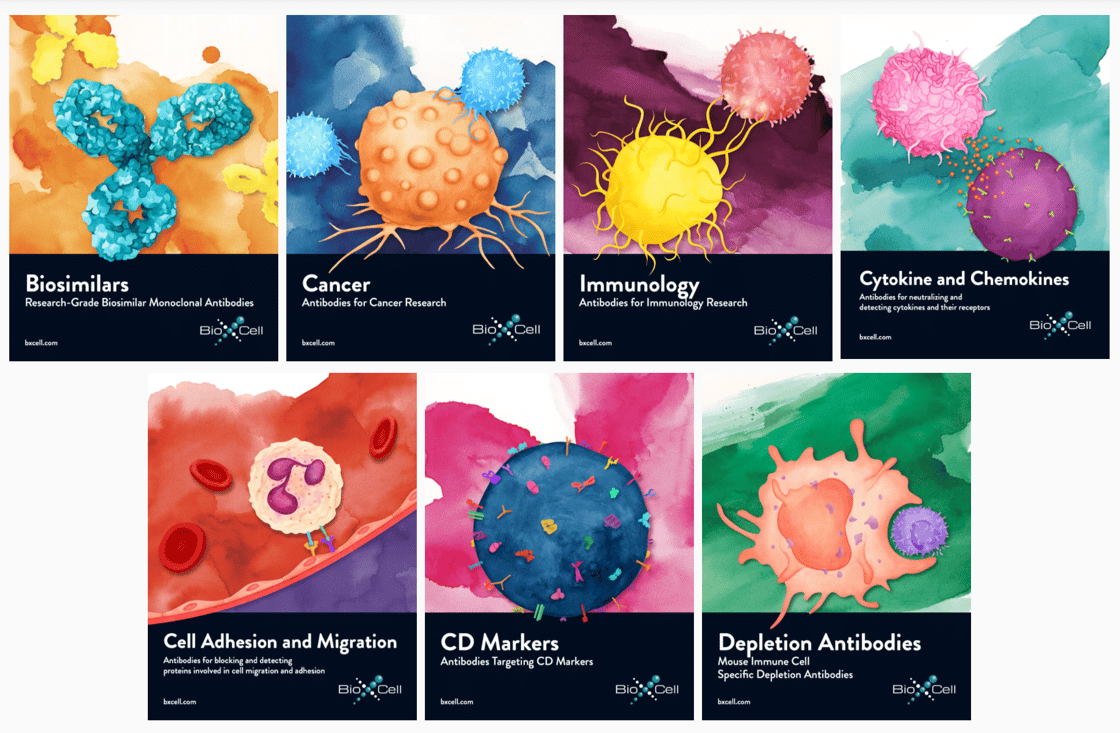 NEW Brochures! Cancer, Immunology, Biosimilars and more
